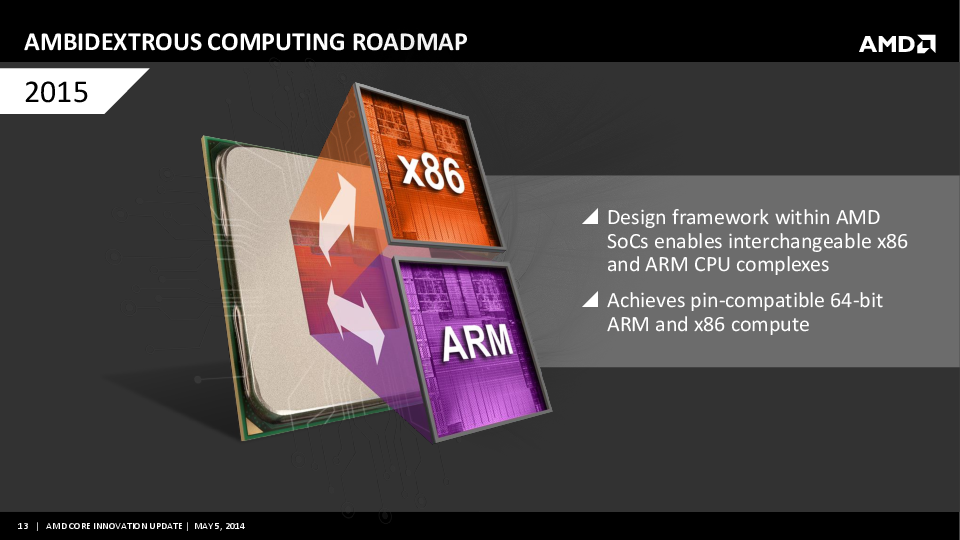 AMD_ARM-12